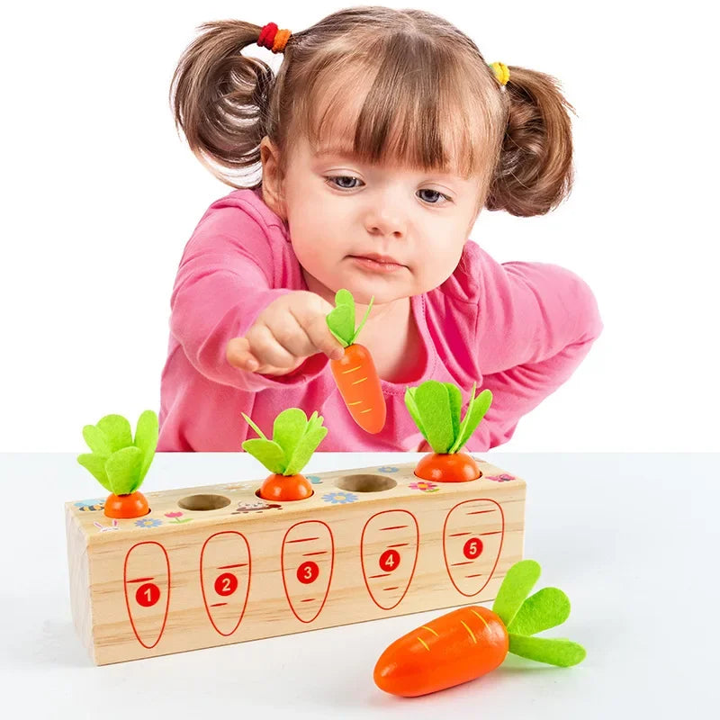Kids Shape Matching Puzzle Toys