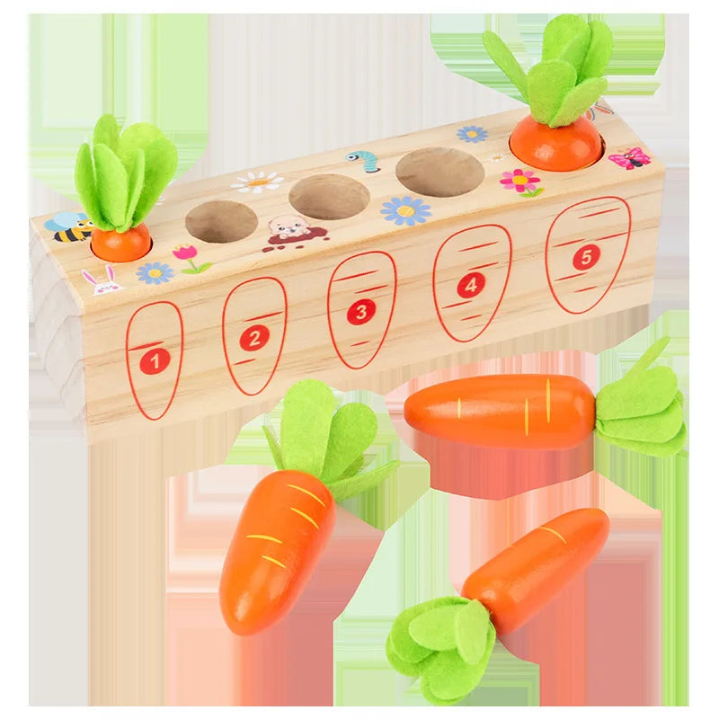 Kids Shape Matching Puzzle Toys