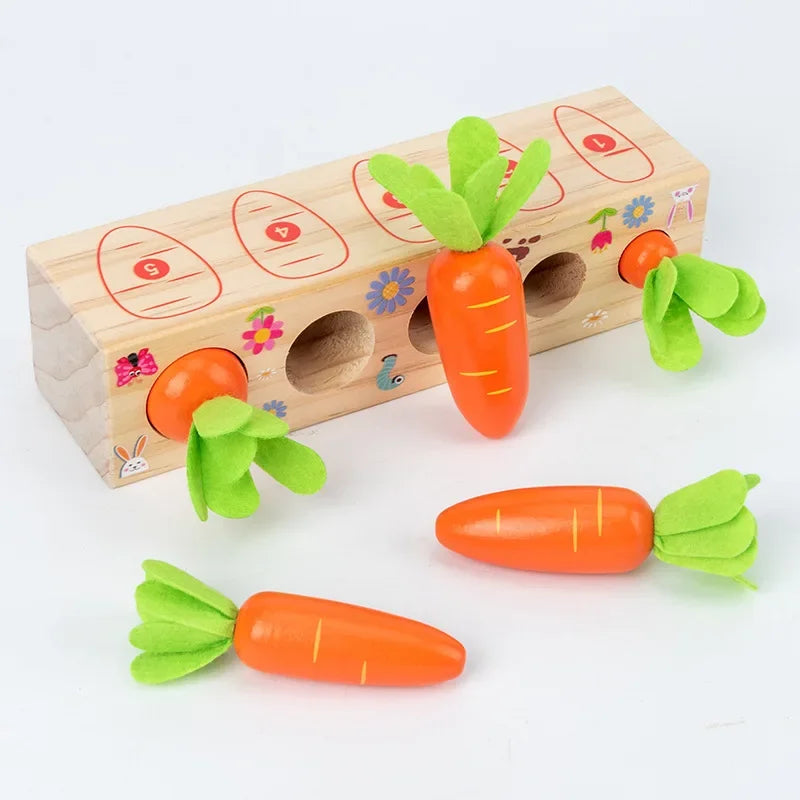 Kids Shape Matching Puzzle Toys