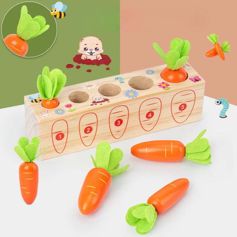 Kids Shape Matching Puzzle Toys