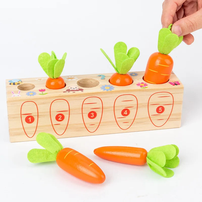 Kids Shape Matching Puzzle Toys