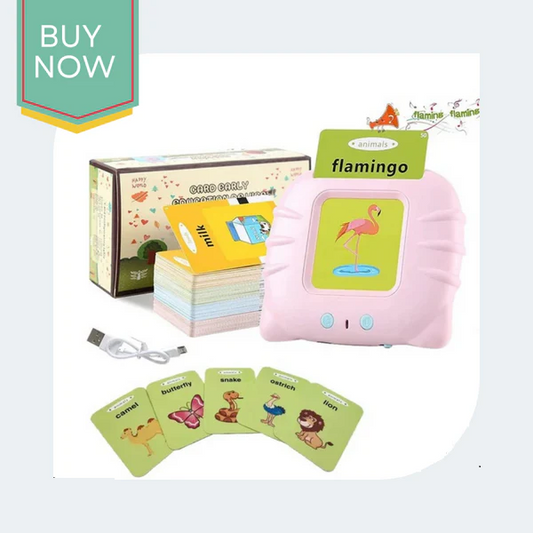 Flash Card Reader Learning Toy