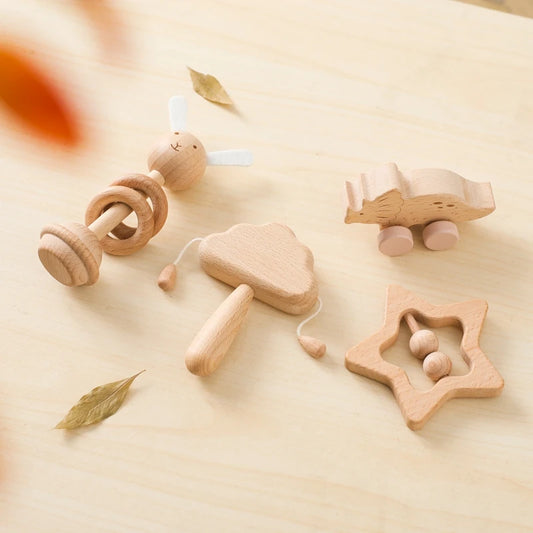 Montessori Wooden 4pc Toys Set 